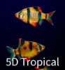 Picture of GLOFISH(R)BARB-SUNBURST ORANGE(R)(NO PR