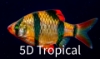 Picture of GLOFISH(R)BARB-SUNBURST ORANGE(R)(NO PR