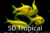 Picture of GLOFISH(R)-TETRA SUNBURST(R) ORANGE PRISTELLA     