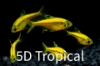 Picture of GLOFISH(R)-TETRA SUNBURST(R) ORANGE PRISTELLA     
