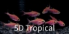 Picture of GLOFISH(R)TETRA-GALACTIC PURPLE(R) PRISTELLA