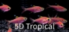 Picture of GLOFISH(R)TETRA-GALACTIC PURPLE(R) PRISTELLA