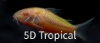 Picture of GLOFISH(R)CORY-SUNBURST ORANGE(R)(NO HI )