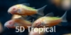 Picture of GLOFISH(R)CORY-SUNBURST ORANGE(R)(NO HI )