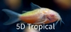 Picture of GLOFISH(R)CORY-SUNBURST ORANGE(R)(NO HI )