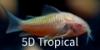 Picture of GLOFISH(R)CORY-SUNBURST ORANGE(R)(NO HI )