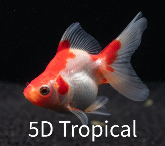 Picture of R&W RYUKIN 8-9CM         