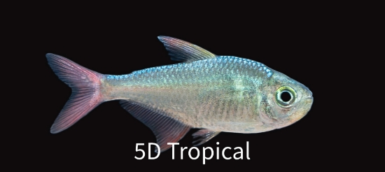 Picture of TETRA-R & B COLOMBIAN        