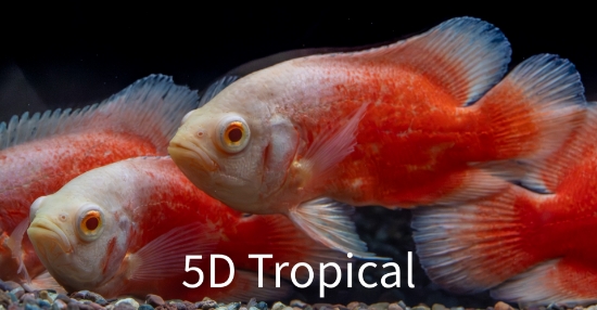 Picture of OSCAR-CHILLI RED MED      