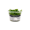 Picture of PLANT-MONTE CARLO-PORT 4OZ CUP 