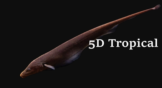 Picture of SOUTH AMERICAN FISH-STRIPED PIKE MD