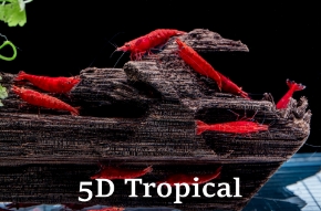 Picture for category Freshwater Shrimp